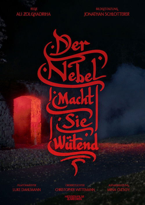 Der Nebel macht sie wütend (2026) - film poster