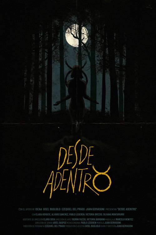 Desde Adentro (2017) - film poster
