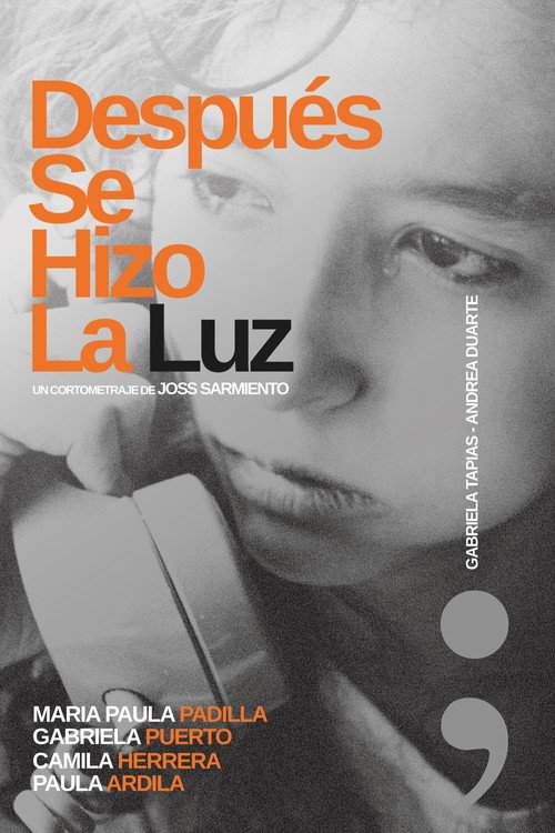 Después Se Hizo La Luz (2026) - film poster