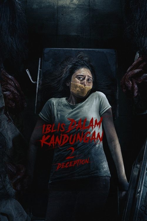 Devil in the Womb 2: Deception (2025) - film poster