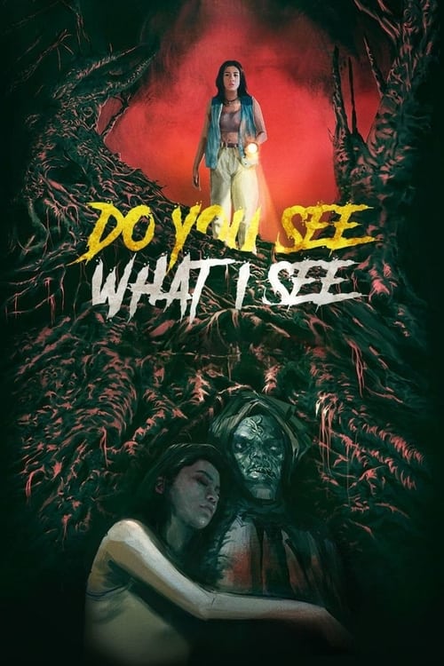 Do You See What I See (2024) - film poster