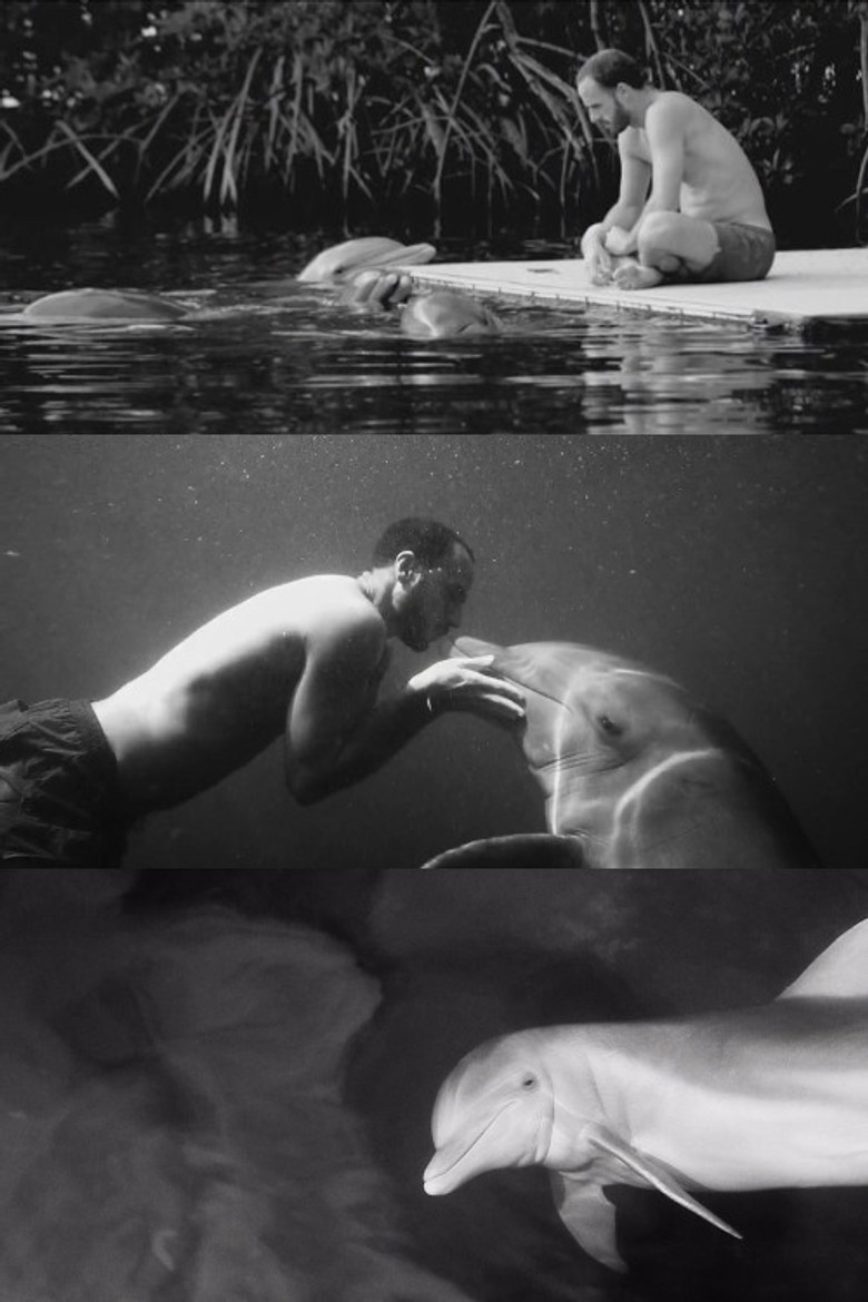 Dolfun (2016) — film poster, directed by Sebastián Silva