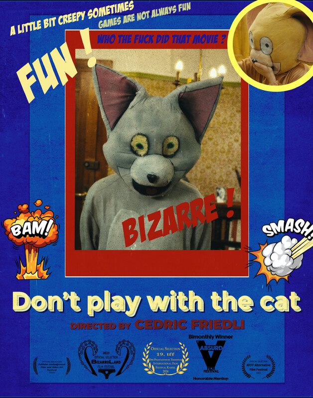 Don't play with the cat