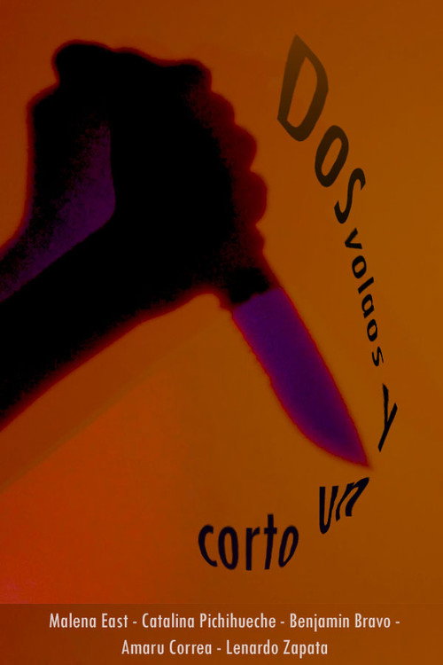 Dos volaos y un corto (2026) - film poster