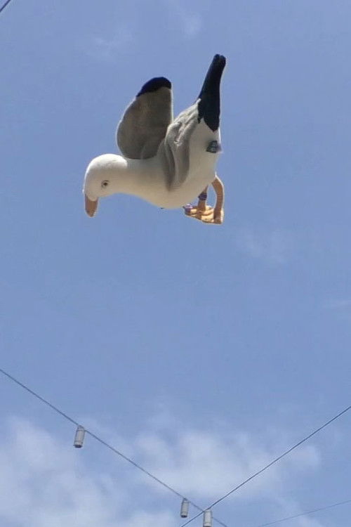 Double Jump (2024) - film poster