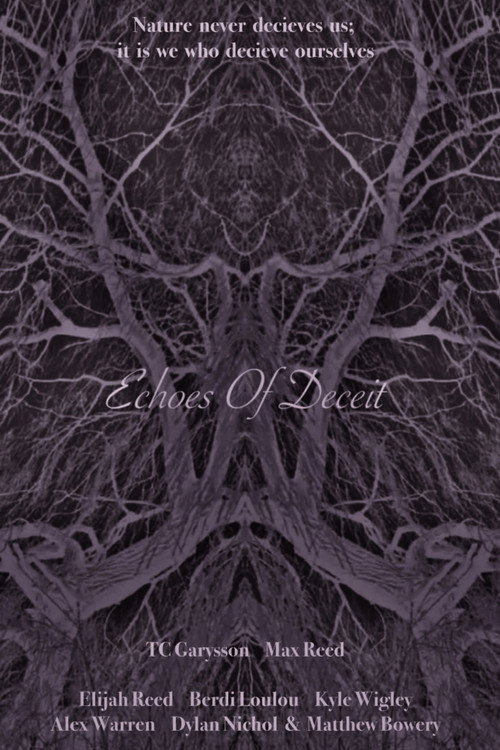 Echoes Of Deceit (2025) - film poster