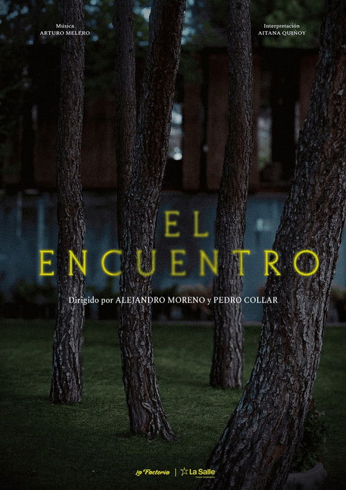El Encuentro (2025) - film poster