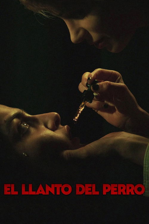 El llanto del perro (2025) - film poster