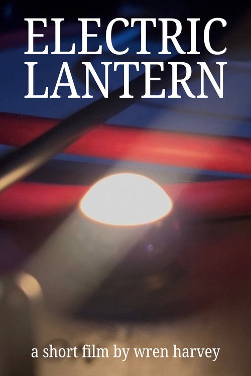ELECTRIC LANTERN (2026) - film poster