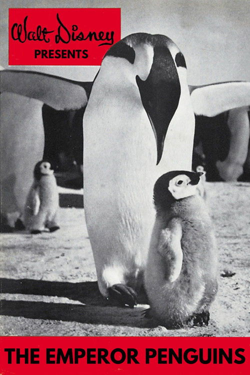 Emperor Penguins (1955) - film poster, directed by Mary Marr