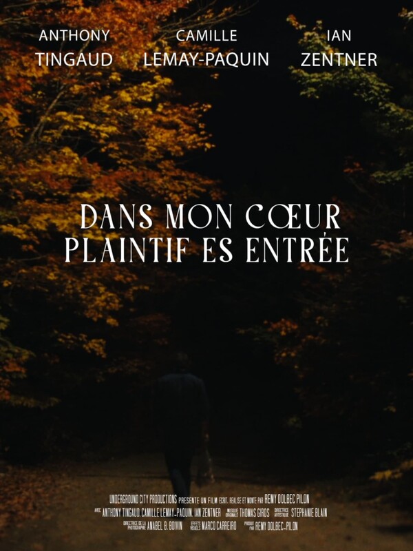 Entered my plaintive heart (2026) - film poster, directed by Rémy Dolbec-Pilon