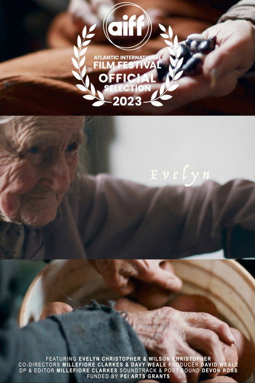 Evelyn (2023) — film poster, directed by Millefiore Clarkes