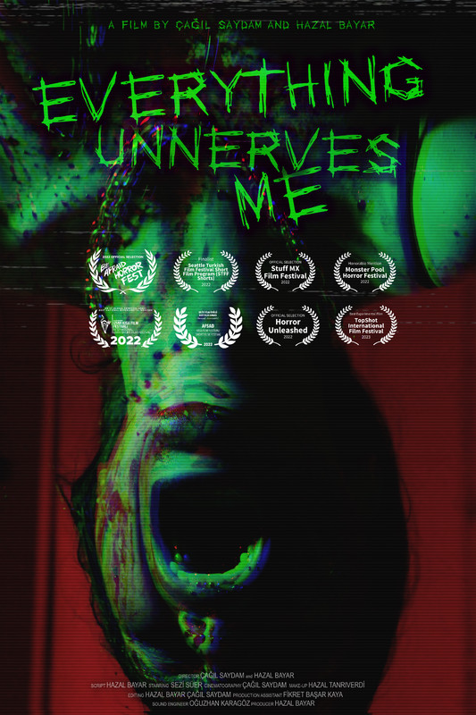Everything Unnerves Me
