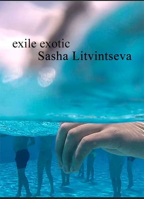 Exile Exotic (2016) — film poster, directed by Sasha Litvintseva