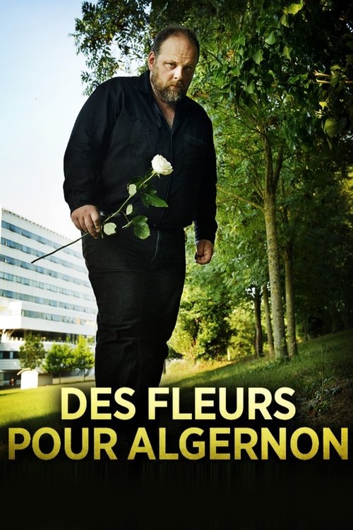 Flowers for Algernon (2014) - film poster