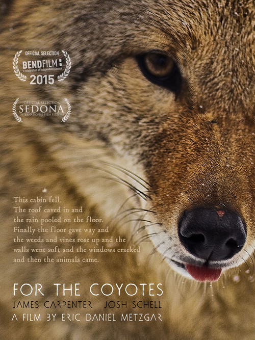 For the Coyotes (2015) — film poster, directed by Eric Daniel Metzgar