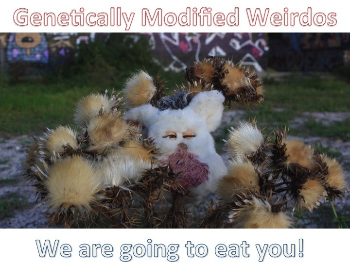 Genetically Modified Weirdos (2020) - film poster, directed by Lee A Marquardt