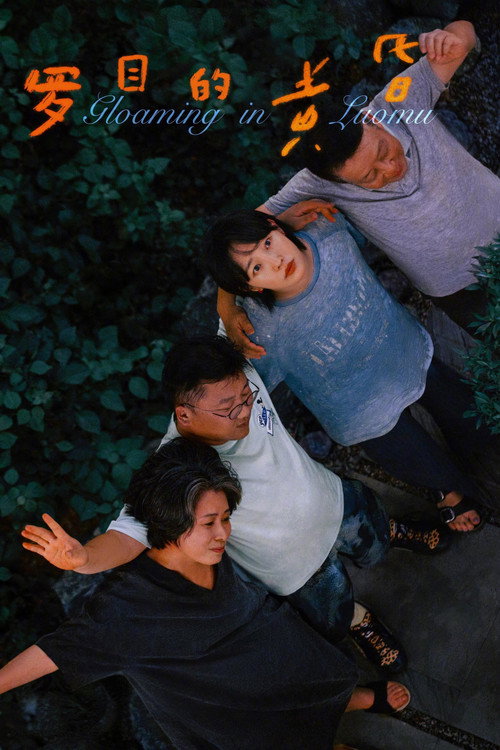 Gloaming in Luomu (2025) — film poster, directed by Zhang Lu