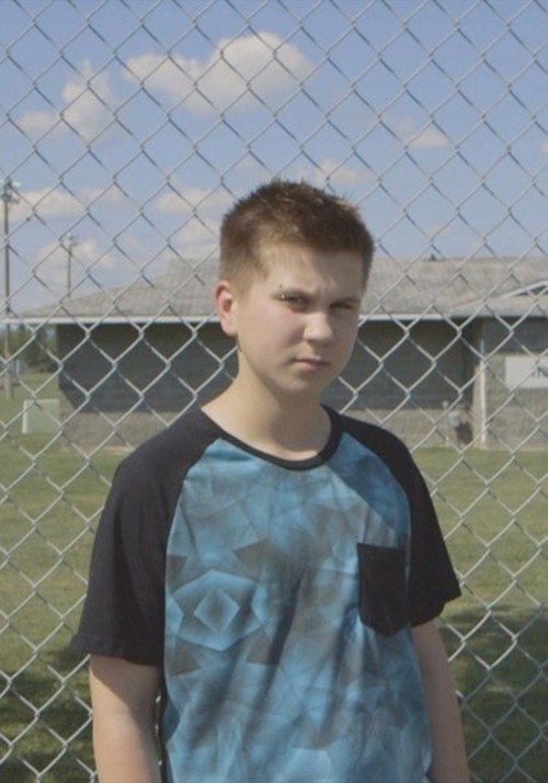 Handsome & Majestic (2016) — film poster, directed by Jeff Petry