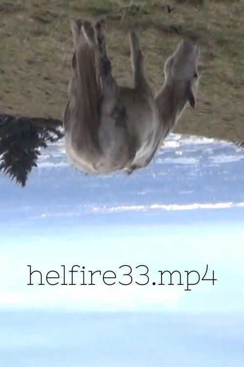 hellfire33.mp4 (2023) - film poster