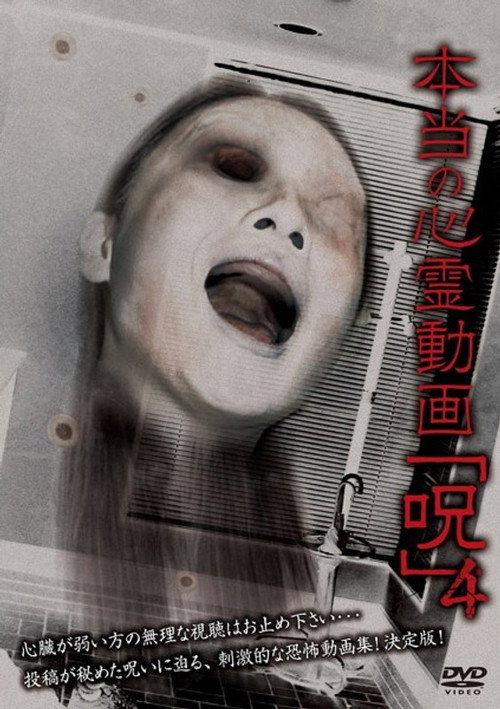 Hontō no Shinrei Dōga 'Noroi' 4 (2013) - film poster