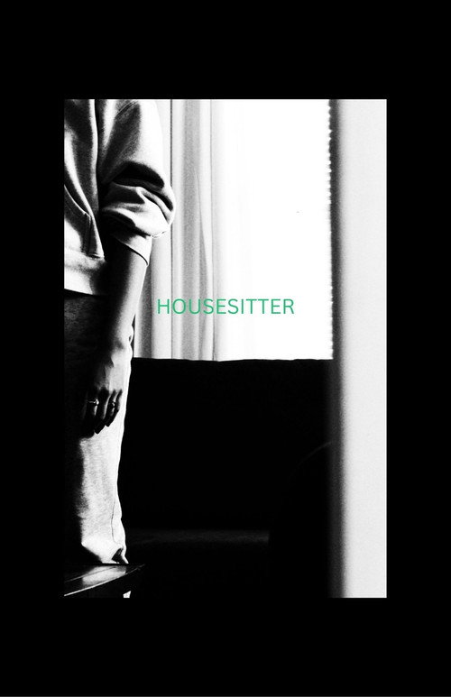 HOUSESITTER (2026) - film poster