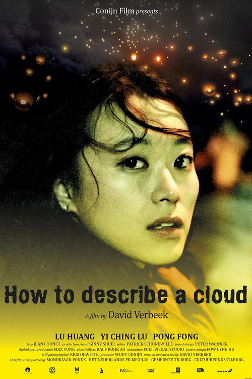 How to Describe a Cloud (2013) — film poster, directed by David Verbeek