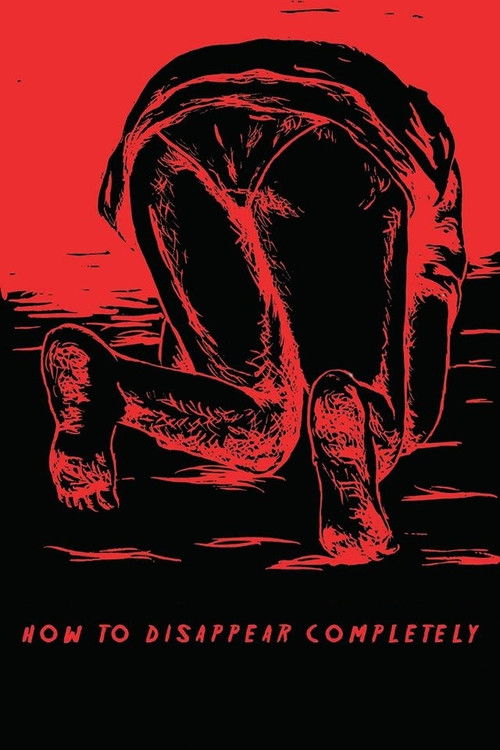 How to Disappear Completely (2013) — film poster