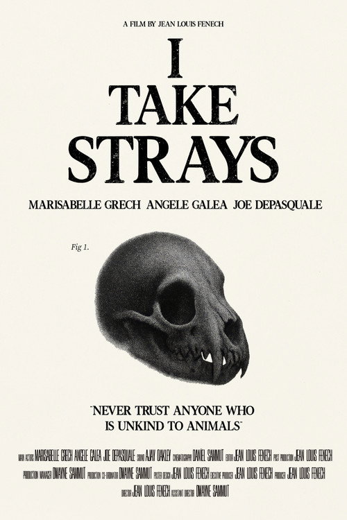 I TAKE STRAYS (2026) - film poster