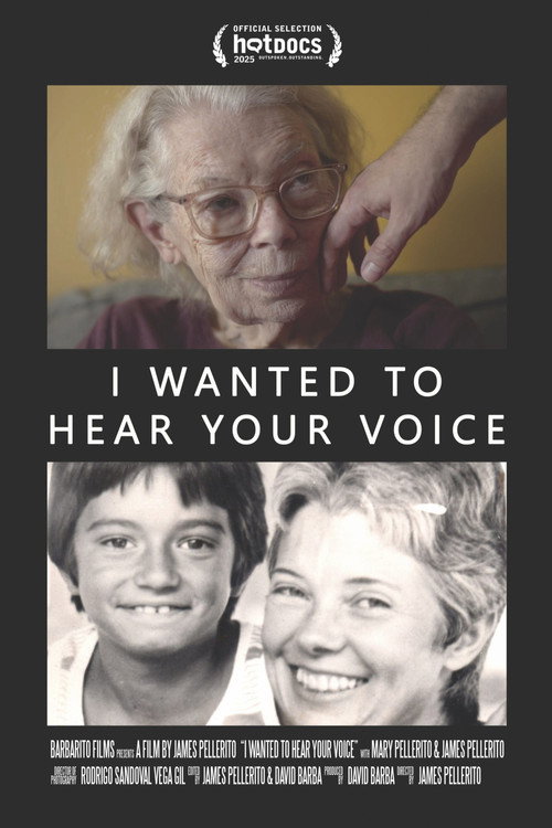 I Wanted To Hear Your Voice (2025) - film poster