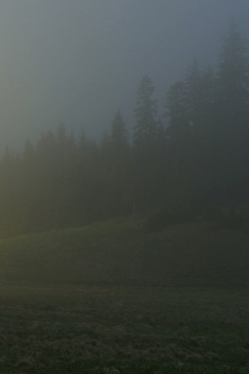 In A Beautiful And Quiet Location (2015) — film poster, directed by Lukas Marxt