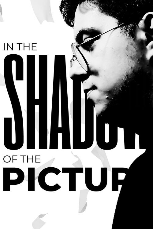 In the Shadow of the Picture (2025) - film poster