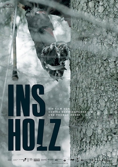 In the Woods (2017) - film poster, directed by Corina Schwingruber Ilić