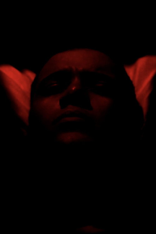 Incubador (2017) - film poster