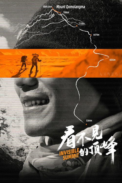 Invisible Summit (2023) - film poster, directed by Lixin Fan