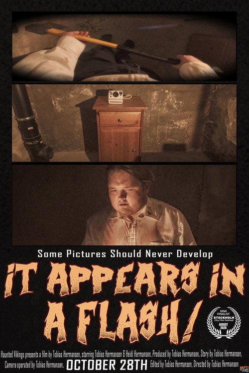 It Appears in a Flash! (2026) - film poster