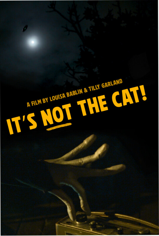 It's Not The Cat! (2025) - film poster, directed by Louisa Bablin