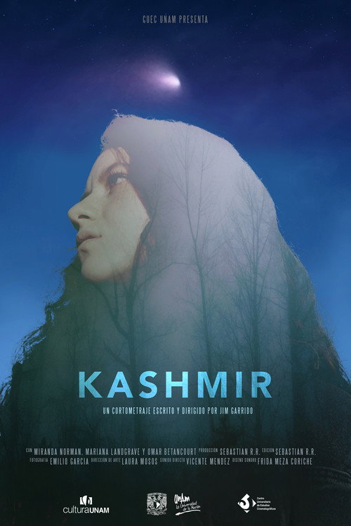 Kashmir (2018) - film poster