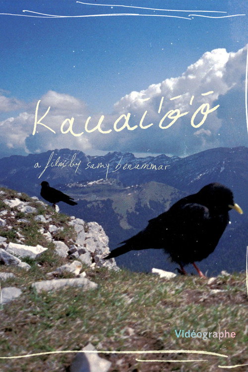 Kauai'o 'o'o