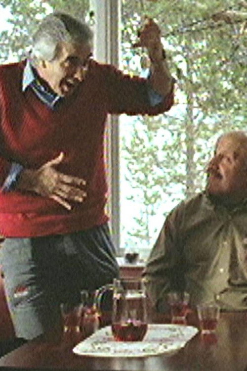 Lappsjukan (2001) - film poster, directed by Jerzy Sladkowski