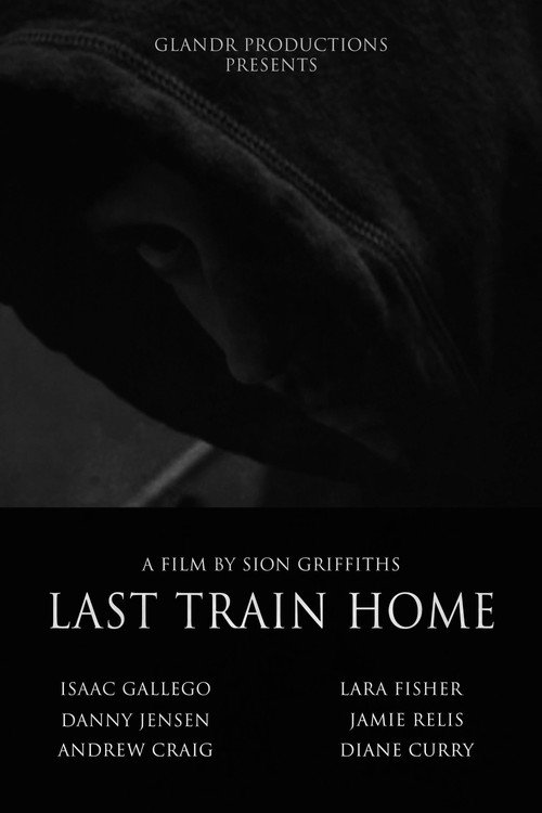 Last Train Home (2008) - film poster