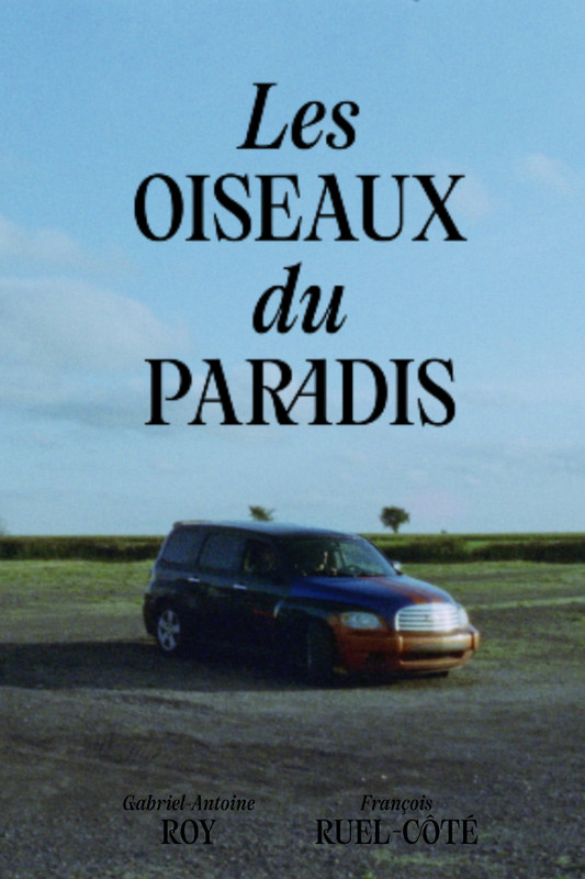 Les oiseaux du paradis - Birds of paradise