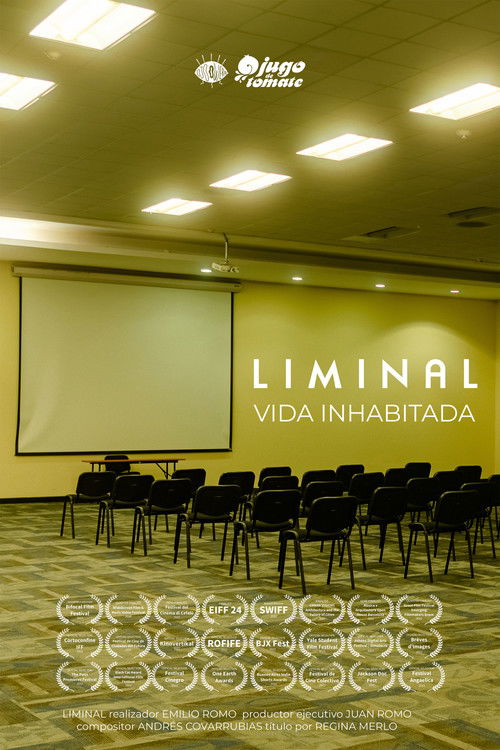 LIMINAL (2021) — film poster