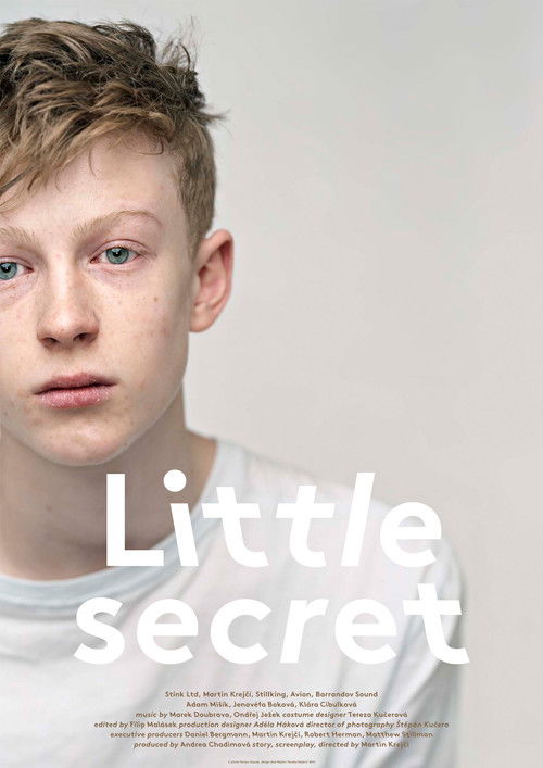 Little Secret (2013) — film poster, directed by Martin Krejčí