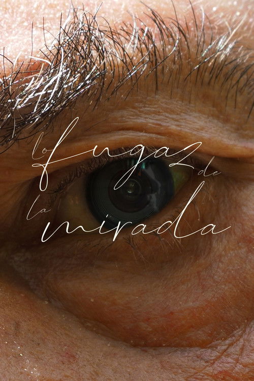 Lo fugaz de la mirada (2024) - film poster