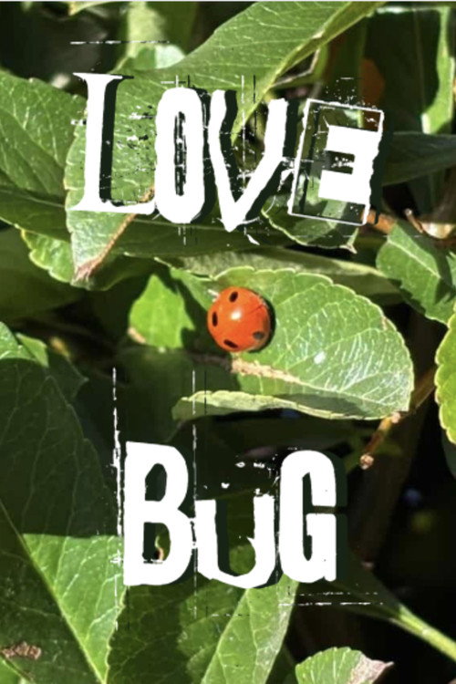 Lovebug (2026) - film poster