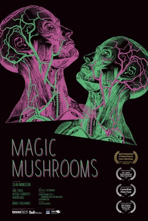 Magic Mushrooms (2017) — film poster, directed by Sean Wainsteim