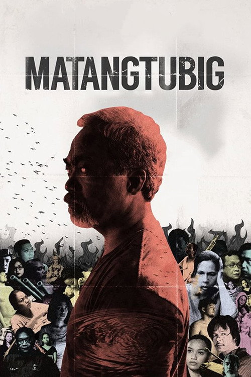 Matangtubig (2015) - film poster