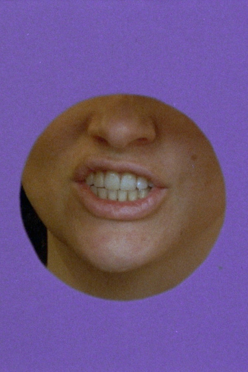 Memory Is an Animal, It Barks with Many Mouths (2025) — film poster, directed by Eva Giolo