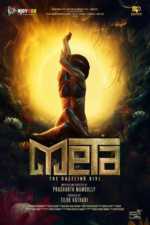 Meta: The Dazzling Girl (2025) - film poster